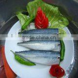 HG and HGT Horse Mackerel thumbnail-1