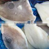Frozen John Dory Fillet 60-100g/100-150g/pc Zeus Faber thumbnail-1