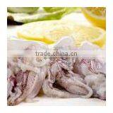 Frozen Iqf Baby Squid thumbnail-1