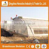 Heracles Economical Plastic Commercial Low Cost Multi Span Plastic Greenhouses With Automatic Irrigation System thumbnail-4