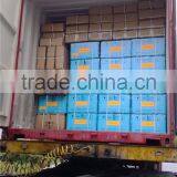 Intelligent Swimming Pool Cleaning Machine thumbnail-6