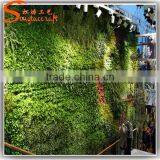 Vertical Plant Artificial Walls Plastic Green Wall Garden for Sale thumbnail-5