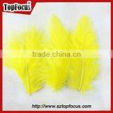 More Color Natural Dyed Turkey Feather for Evening Dresses With Feathers thumbnail-3