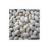 Sell White Kidney Beans thumbnail-1
