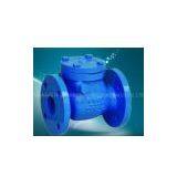 DIN SWING CHECK VALVE