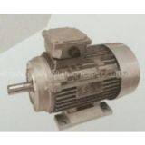 Y2 Series Three-phase Induction Motor(aluminum Die Cast Housing) thumbnail-1