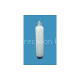 Polypropylene Pleated 0.45 Micron Filter Cartridge for critical water filtration