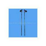 Skiing Pole thumbnail-1