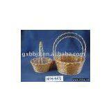 Fruit Basket thumbnail-1