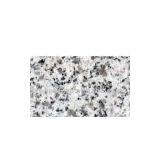 Latest Style !!! Granite Slab