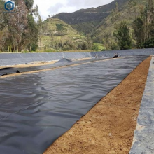 HDPE Geomembrane for Fish Farm Pond in UK