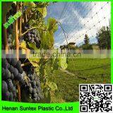 100% Original Raw Material With UV Additives Bird Netting Heavy Duty Hdpe Plastic Mesh Netting Garden Protection Net thumbnail-4