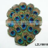 peacock feather tails pad LZLY8818