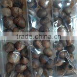 Organic Black Garlic thumbnail-3