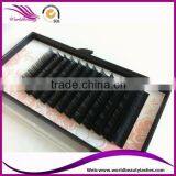 Top Quality Wholesale Price Eyelash Extension thumbnail-4