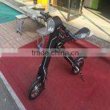 Electric Passenger Tricycle 2 Wheel Scooter Motorcycle