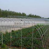 Agricultural Greenhouses Film thumbnail-6