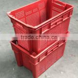 plastic crate vented for vegetable and fruit