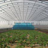 Poly Tunnel Greenhouse Single Span Greenhouse Tunnel Greenhouse for Sale thumbnail-1