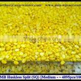 Green Mung Split / Mung Dal [Huskless] / Vigna Radiata (Red Ruby) thumbnail-3