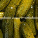 Viet Nam Pickled Cucumber in Jar thumbnail-2