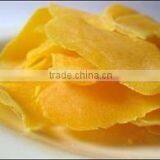 Dried Mango thumbnail-1