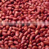 china good quality peanut in kernel for export