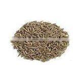 WHOLE CUMIN SEEDS thumbnail-1