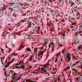 XIAN Chili, Wrinkle Xian Chili, Dried Xian Chili, XIAN Chili Stemless, Xian Chili no Stems, Xian Chili New thumbnail-6