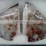 Giant Squid Wings thumbnail-1