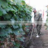 Nitrogenous Manure, N46 Urea Agricultural Grade thumbnail-3