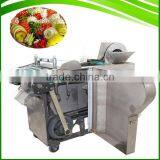 High Effeciency Fruit and Vegetable Dicing Machine/ Cuber/ Dicer/ Cube Cutting Machine for Sale thumbnail-1