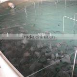 Recirculating Aquaculture Systems Suppliers thumbnail-3