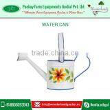 Antique Design Hand Painted Water Can at Wholesale Rate thumbnail-1