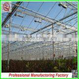 Economic and Practical PC Sheet Multi-span Greenhouse With Professional Manufacturer thumbnail-5