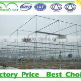 Low Cost Tunnel Green House for Sale thumbnail-4