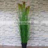 Faux Reed thumbnail-1