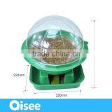 Easy Hydroponic Growing System Kits for Kids With EN71 thumbnail-3