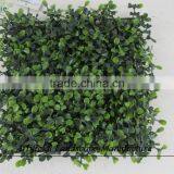 Anti-UV Grass Carpet , Artificial Milan Grass for Wholesale thumbnail-1