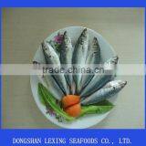 Frozen Fish Horse Mackerel thumbnail-1