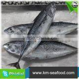 Carton or Woven Bag Packed Fat Content 16%-18% Seafish thumbnail-5