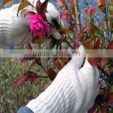 DDSAFETY 2017 Luvas De Algodao 7 Gauge Bleach Cotton Polyester String Knitted Safety Gloves thumbnail-5