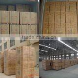 Stable Home Portable Diesel Generator thumbnail-6