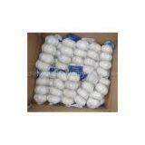 Red Garlic thumbnail-3