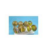 Frog Life Cycle Mode