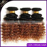Ombre Hair Extensions Brazilian Virgin Hair Deep Curly 3Pcs Brazilian Ombre Curly T1B/30 Hair Extension Dropship 10-26INCH thumbnail-6