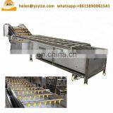 Industrial Fruit Washing Machine/vegetable and Fruit Washing Machine thumbnail-2
