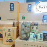 Good Vegetable Product From China Black Garlic thumbnail-4