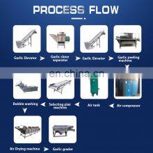 Garlic Peeling Production Line Garlic Allium Sativum Fruit Processing Equipment thumbnail-2