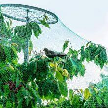 HDPE Grape Protection Net Anti Bird Net Agricultural Vineyard Hail Protection Net thumbnail-2